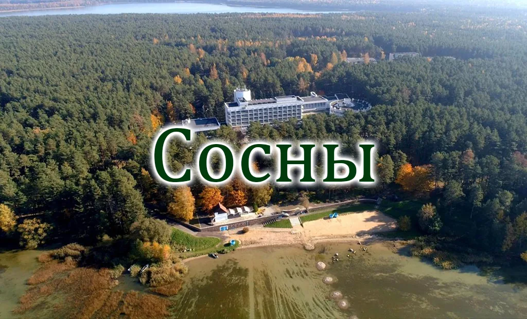 Санаторий «Сосны»